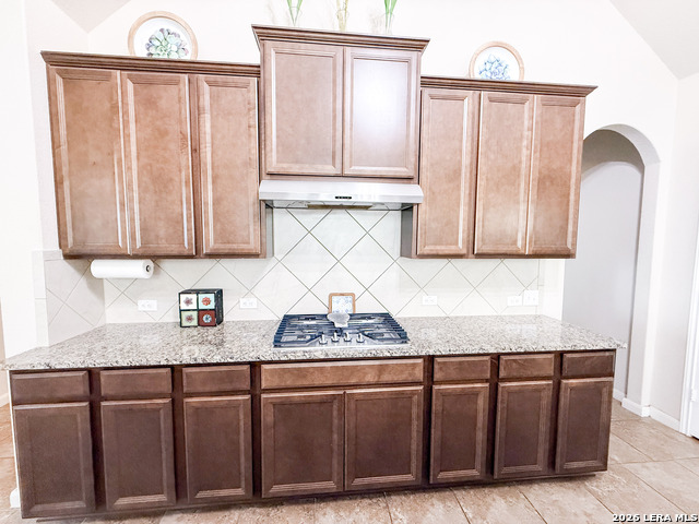 17711 Handies Peak Property Photo 16