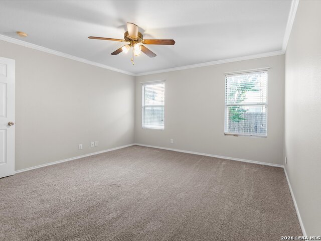 143 Blue Juniper Property Photo 14