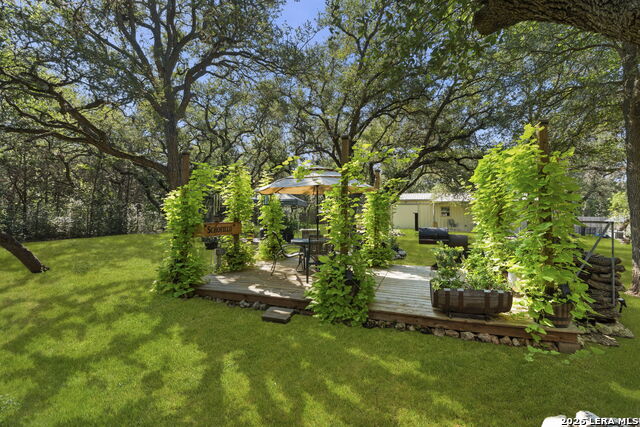 30720 Smithson Valley Rd Property Photo 27