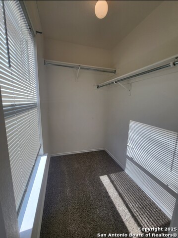 754 Pinafore St Property Photo 15