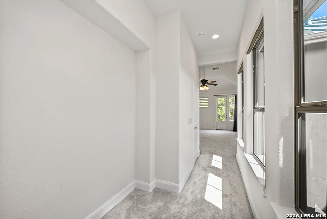 4171 Texas Elm Property Photo 20