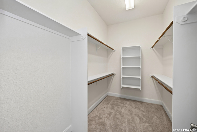 4171 Texas Elm Property Photo 26