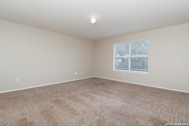 6026 Ironmill Property Photo 13