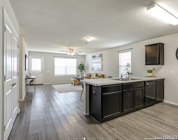 6903 Cozy Run Property Photo 7