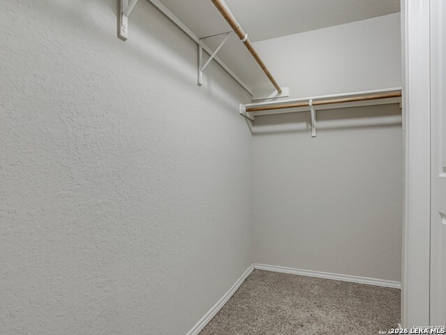 6903 Cozy Run Property Photo 12