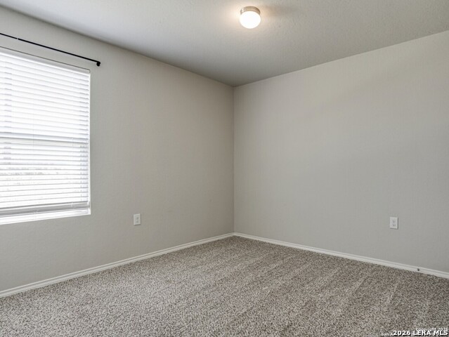 6903 Cozy Run Property Photo 16