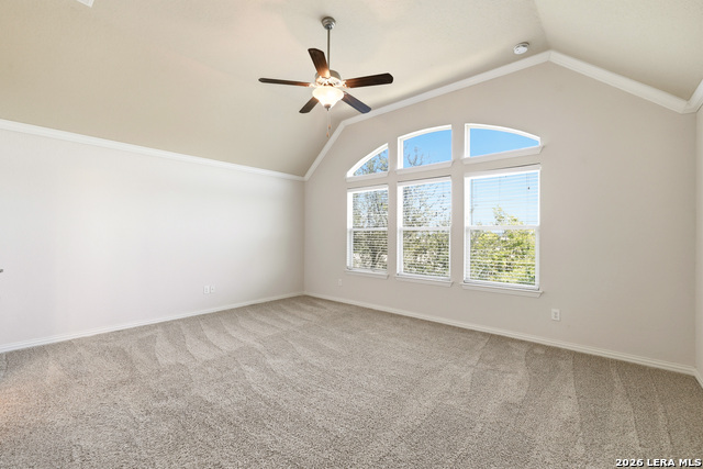 3758 Chicory Bnd Property Photo 19