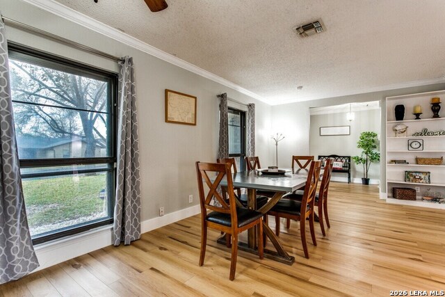 6815 Reve Property Photo 4