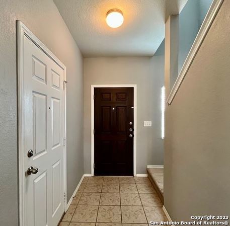 11331 Pink Star Property Photo 3
