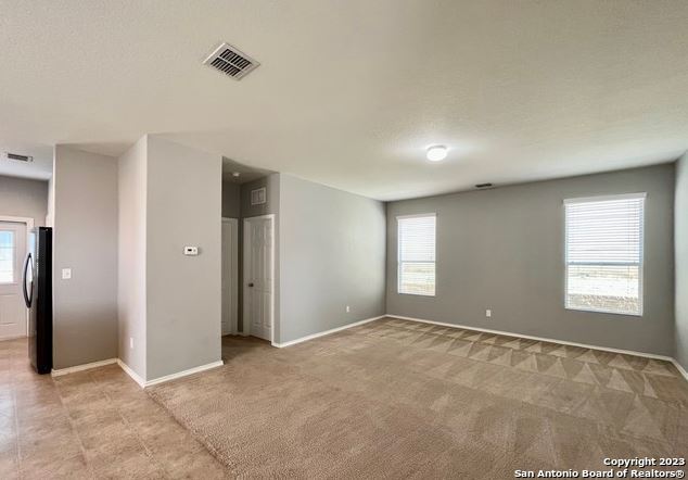 11331 Pink Star Property Photo 5