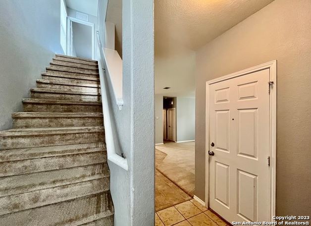 11331 Pink Star Property Photo 19