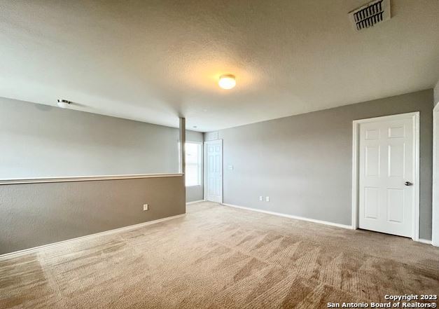 11331 Pink Star Property Photo 21