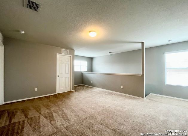 11331 Pink Star Property Photo 22