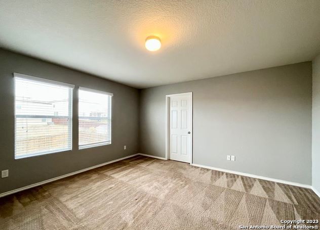 11331 Pink Star Property Photo 24
