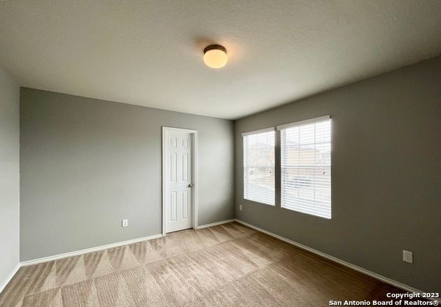 11331 Pink Star Property Photo 28