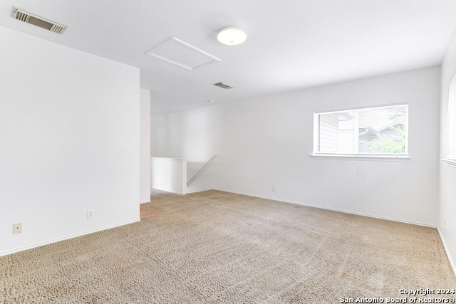 10106 Amber Flora Dr Property Photo 11