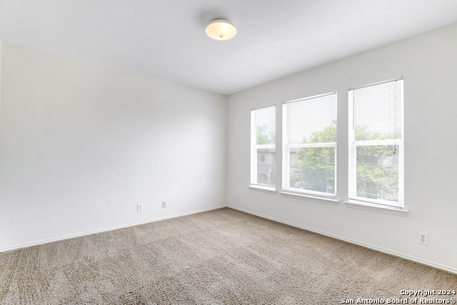 10106 Amber Flora Dr Property Photo 20