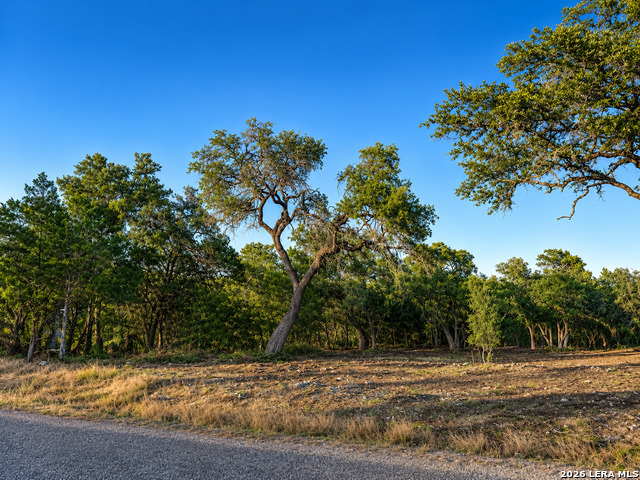 335 Serenity Pass Property Photo 5