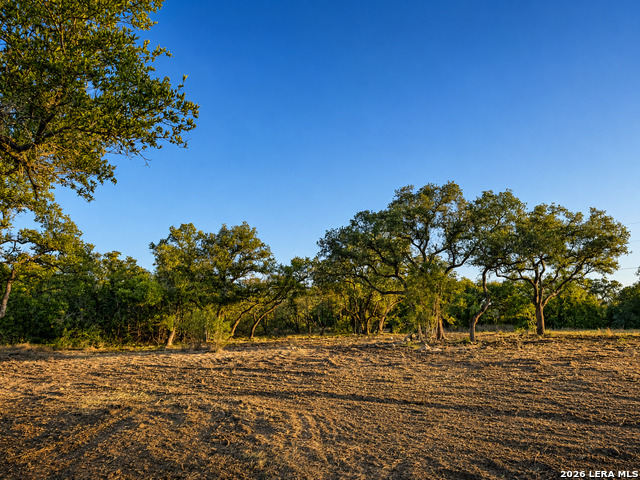 335 Serenity Pass Property Photo 15