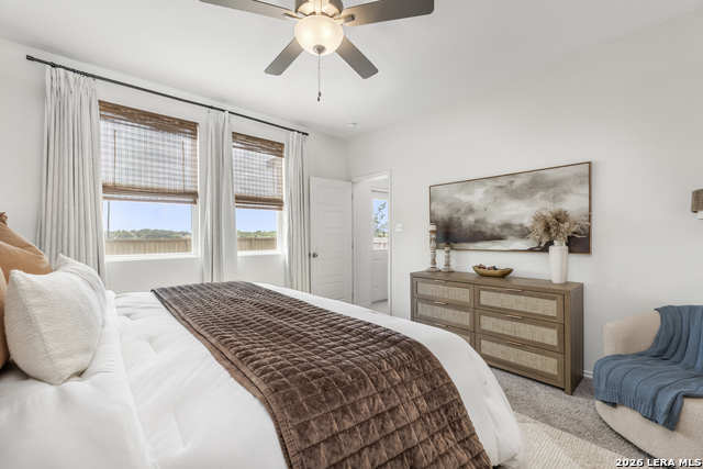 10919 Apple Dumpling Grv Property Photo 22