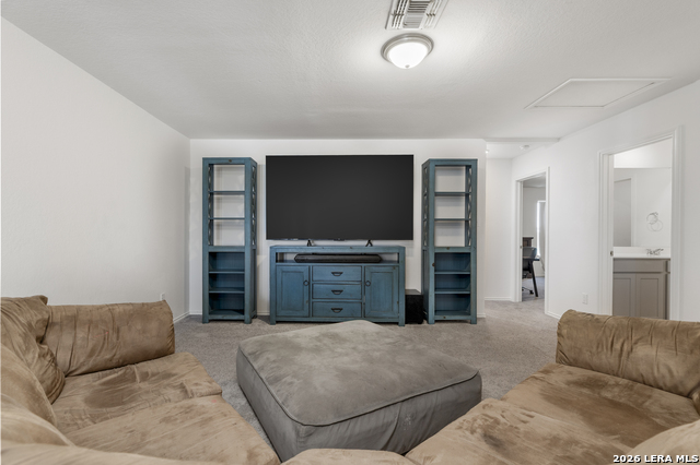 10919 Apple Dumpling Grv Property Photo 31