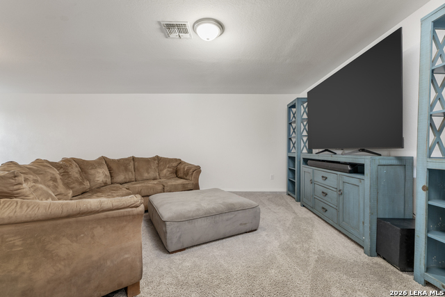 10919 Apple Dumpling Grv Property Photo 32