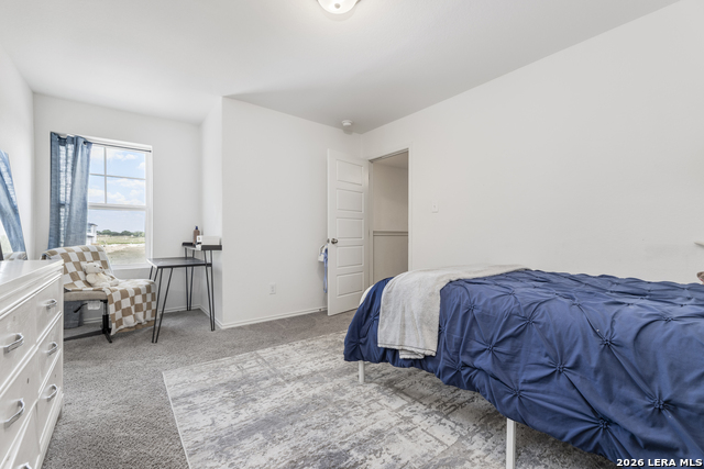 10919 Apple Dumpling Grv Property Photo 34