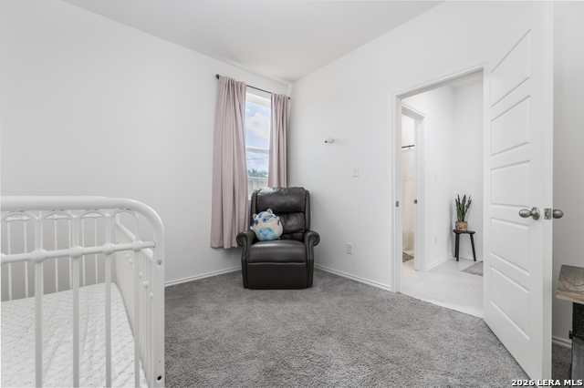 10919 Apple Dumpling Grv Property Photo 38