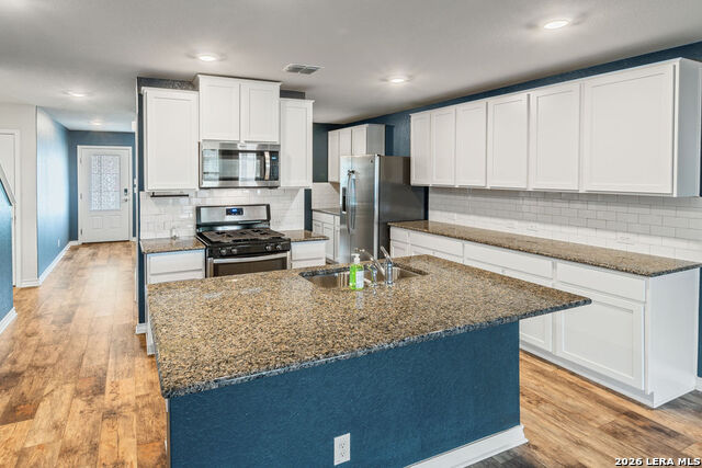 13110 Needle Grass Property Photo 14