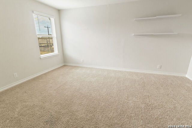 13110 Needle Grass Property Photo 36
