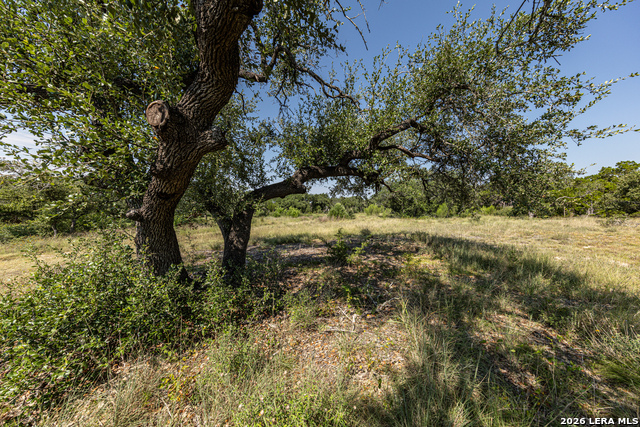 34711 Deeanne Valley Trl Property Photo 11
