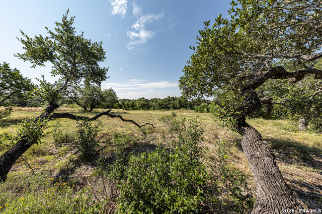 34711 Deeanne Valley Trl Property Photo 12