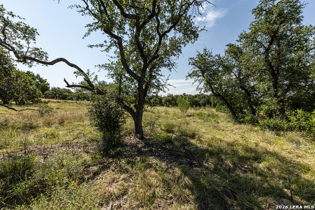 34711 Deeanne Valley Trl Property Photo 13