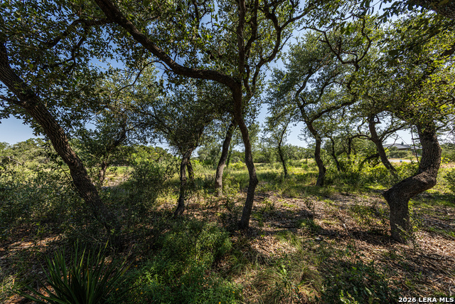 34711 Deeanne Valley Trl Property Photo 14