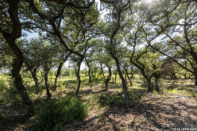 34711 Deeanne Valley Trl Property Photo 15