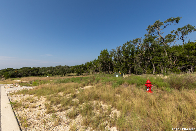 34711 Deeanne Valley Trl Property Photo 16