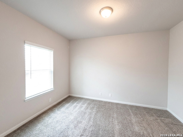 7520 Anchors Peak Property Photo 19