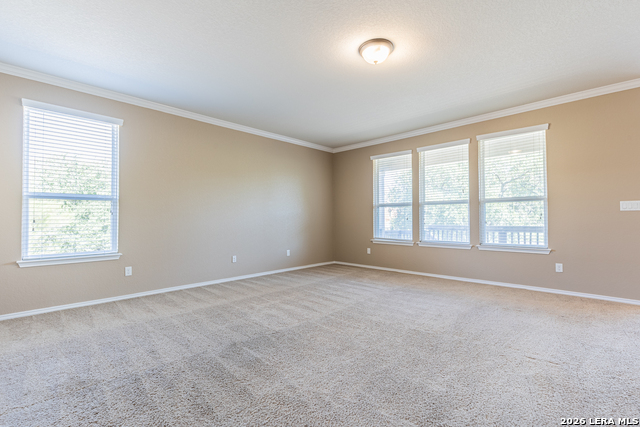 12939 Texas Gold Property Photo 8