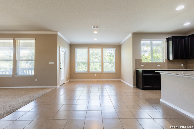 12939 Texas Gold Property Photo 15