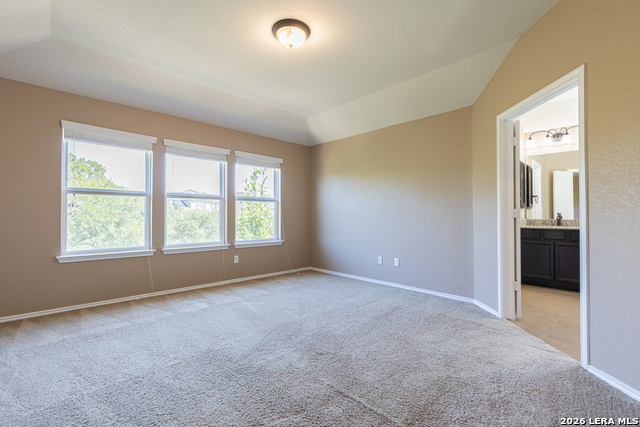 12939 Texas Gold Property Photo 20