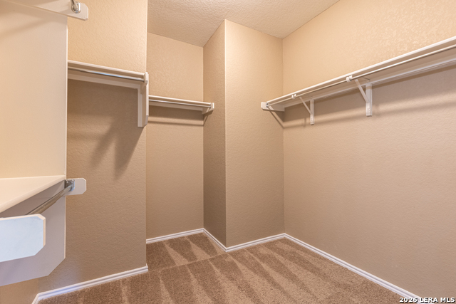 12939 Texas Gold Property Photo 26
