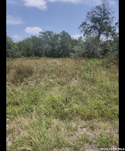 24114 Tumbleweed Ln Property Photo 5
