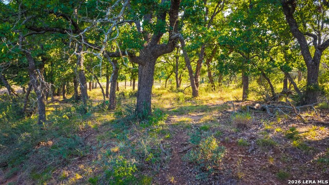 331 Suniland Property Photo 11