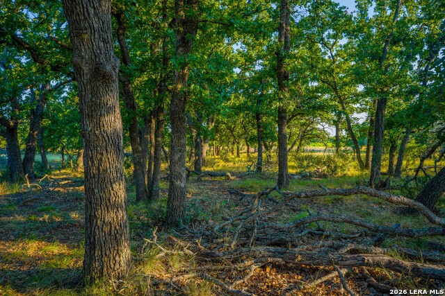 331 Suniland Property Photo 36
