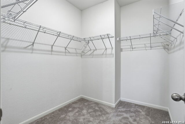 12619 Corona Borealis Property Photo 19