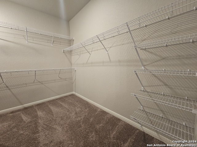 12903 Irvin Path Property Photo 6
