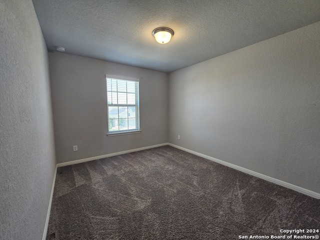 12903 Irvin Path Property Photo 13