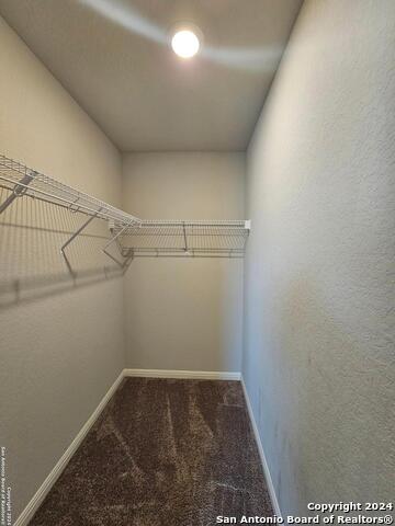 12903 Irvin Path Property Photo 14