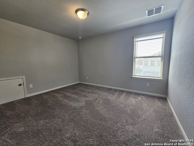 12903 Irvin Path Property Photo 16