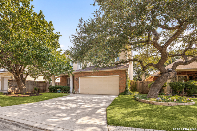 23610 Calico Chase Property Photo 4